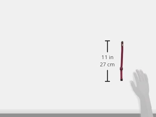 LupinePet Eco 1/2" Berry Cat Safety Collar - Image 4