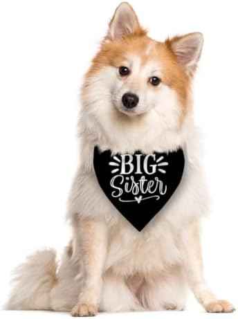 Big Sister Bandana for Dog, Pet Pregnancy Announcement, Black Dog