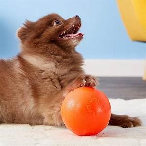 Jolly Pets Bounce-n-Play Dog Toy Ball, 4.5 Inches/Small, Model Number: 2545 OR - Image 6
