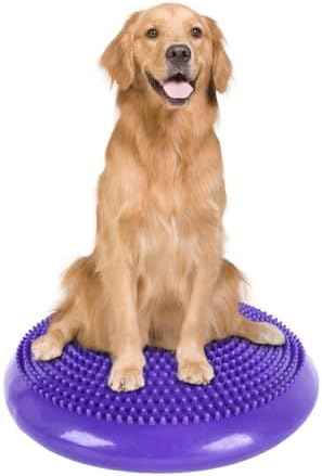 Dog Balance Disc 14", Dog Balance Equipment with Cushion and Pump, Pet