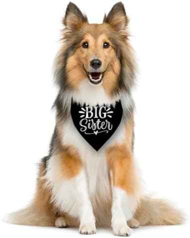 Big Sister Bandana for Dog, Pet Pregnancy Announcement, Black Dog