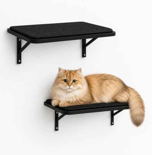 Cat Wall Shelves Set of 2, Black Solid Wood Window Perches with Sisal