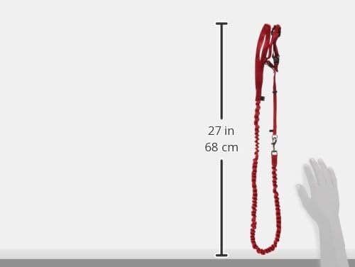PetSafe Come With Me Kitty Harness and Bungee Leash - Image 3
