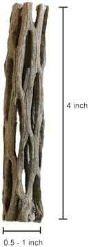 Natural Cholla Wood for Aquarium Decoration Shrimp and Fish Tank