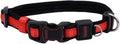 Coastal Pet - Coastal - Inspire Enhanced Core - Adjustable Collar by CoastalPet