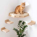 INICIO Cat Wall Shelves and Steps, 4-Piece Wooden Cat Wall Furniture