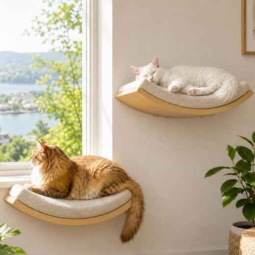 Cat Wall Shelf with Curved Hammock Bed, Wall Mounted Cat Perch