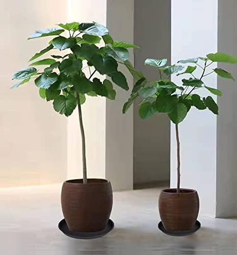 6 Pack of 12 inch Plant Saucer, Heavy Duty Plastic Plant Saucer 12 inch Round - Image 3