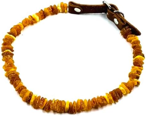 Baltic Amber Dog & Cat Collar - Image 5