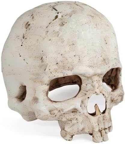 Uniclife Aquarium Skull Reptile House Decor Resin Head Skeleton Ornament - Image 8