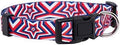 Native Pup American Flag Dog Collar- Red White and Blue- Patriotic