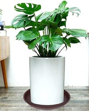 6 Pack of 12 inch Plant Saucer, Heavy Duty Plastic Plant Saucer 12 inch Round - Image 6
