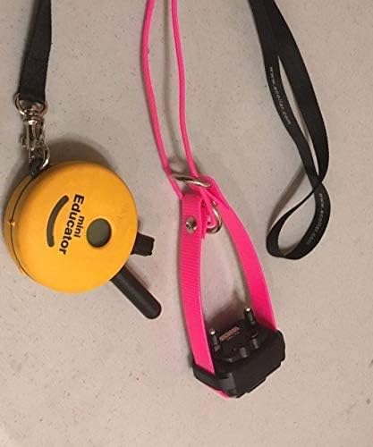 Sparky Pet Co - ECollar Replacement Strap - Bungee Dog Collar - Waterproof - - Image 5