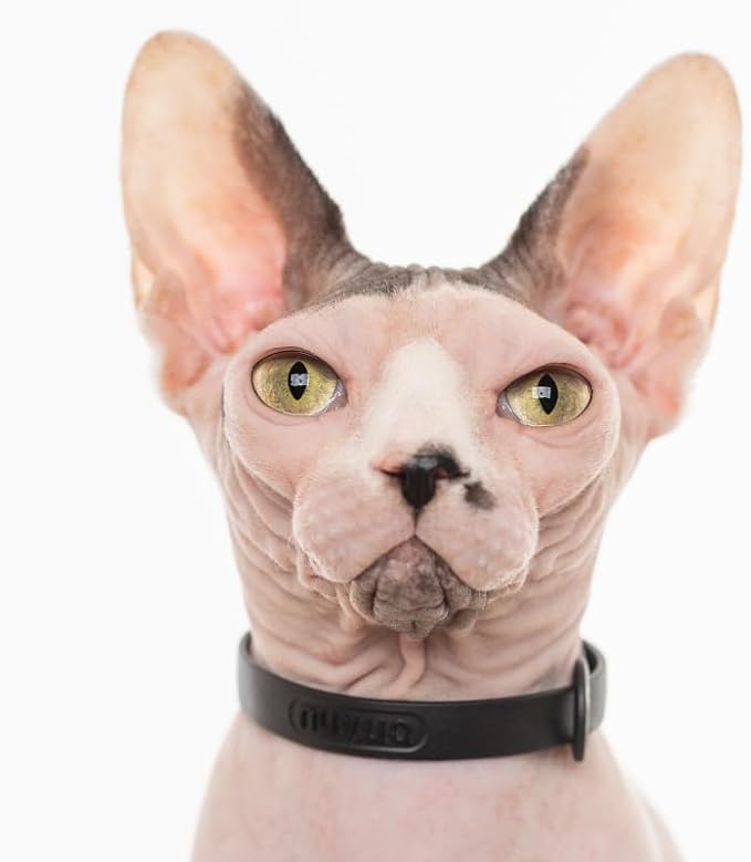 Silicone Cat Collar - Image 4