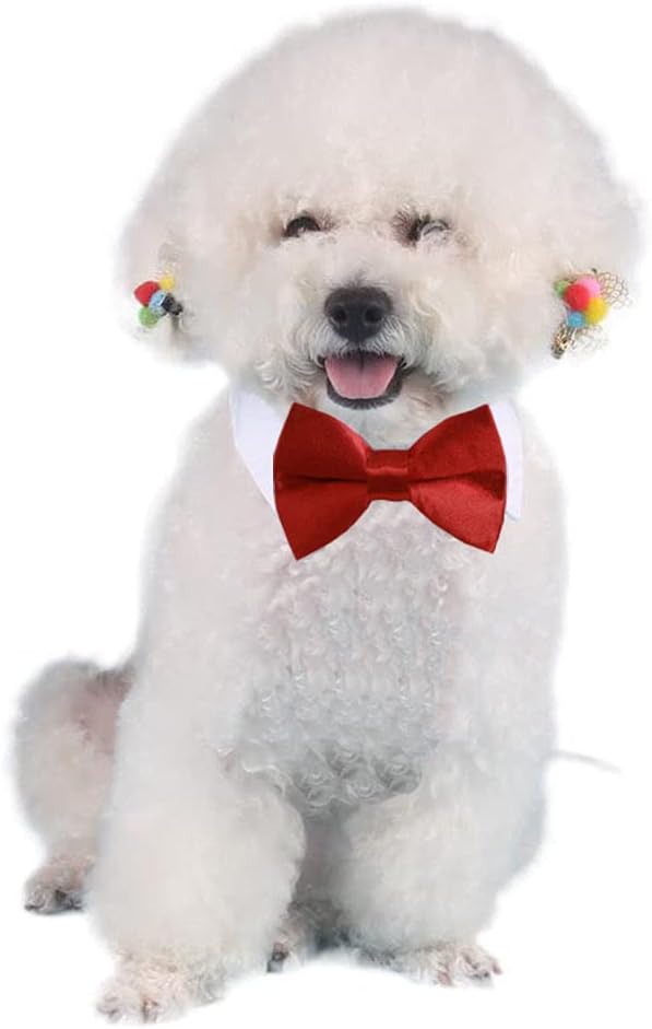 4 Pieces Pets Dog Cat Bowtie Pet Costume Adjustable Formal Necktie Collar - Image 5