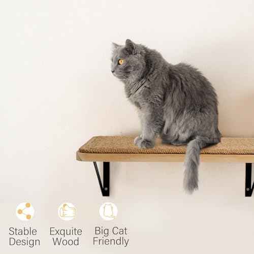 2Pack Wooden Cat Wall Shelves with Sisal Mat,16x9.8 Inch Cat Wall Step