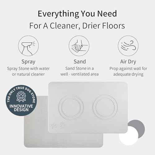 Diatomite Stone Pet Feeding Mat for Dog Cat Super Absorbent Diatomite