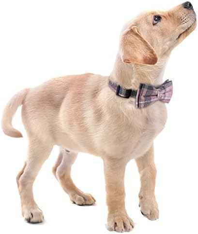 Faleela Cute Soft Girl Dog Collar with Bow, Bowtie Dog Collar for