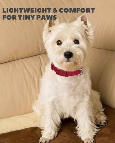 Dynmeow Soft and Breathable Cotton Dog Collar, Durable Adjustable Pet