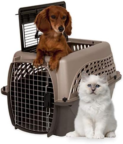 Petmate Dog Crates for Small Dogs & Cat Carriers, Two-Door Plastic Pet Kennel - Image 2
