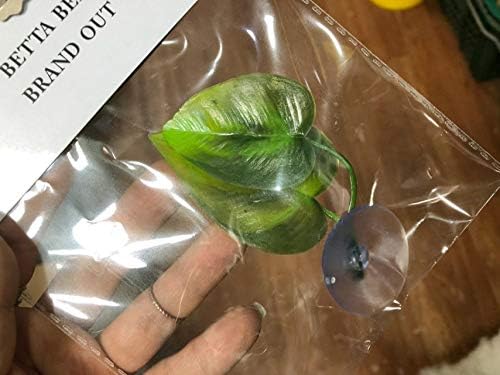 CousDUoBe 3 Pack Betta Fish Leaf Pad Improves Betta's Health by Simulating The - Image 6