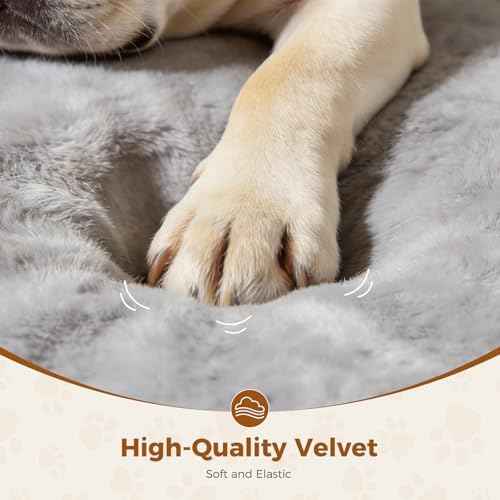Lekereise Outdoor Elevated Dog Beds for Small Dogs, Portable Indoor &