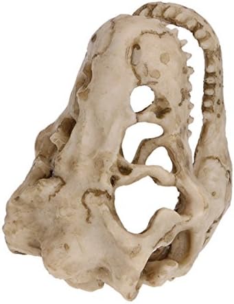 2 Pack Dinosaur Aquarium Decorations Skull Aquarium Ornament Mini Dinosaur Mold - Image 7