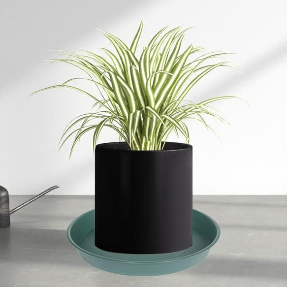 6 Pack Plant Saucer Tray Green, 4 6 8 10 12 13 15 17 19 inch Pot Saucers - Image 3