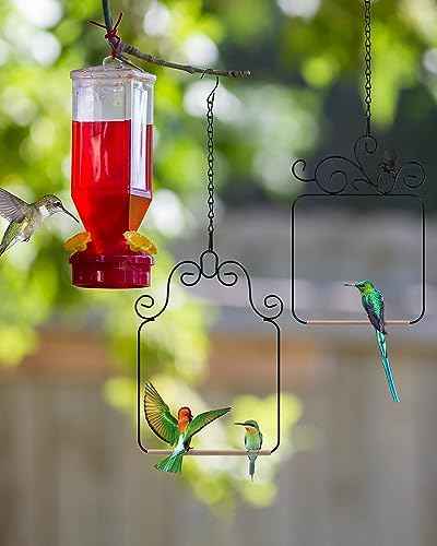 PACETAP Hummingbird Swings and Perches Metal Frame 2 Pack, Wild Bird