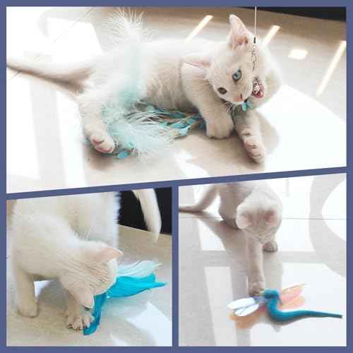 SONGWAY Cat Wand Toys for Indoor Cats - Cat Toy Set with Retractable
