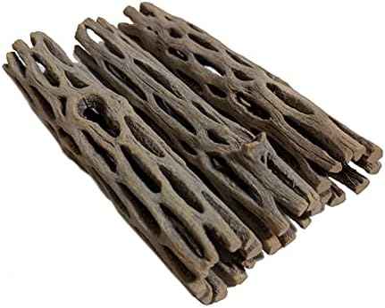 Natural Cholla Wood for Aquarium Decoration Shrimp and Fish Tank
