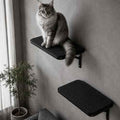 Cat Wall Shelves Set of 2, Black Solid Wood Window Perches with Sisal