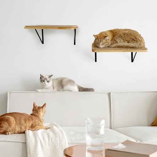 2Pack Wooden Cat Wall Shelves with Sisal Mat,16x9.8 Inch Cat Wall Step