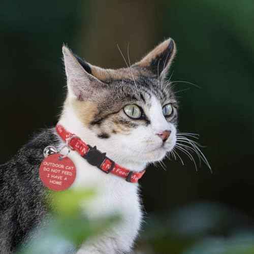 KOOLTAIL Cat Collar with Bell,3 Pack Do Not Feed Cat Collars with