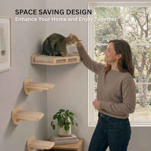 INICIO Cat Wall Shelves and Steps, 4-Piece Wooden Cat Wall Furniture