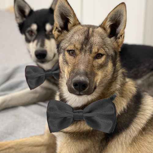Black Bow Tie for Dogs, KOOLMOX Adjustable Dog Bow Tie Collar for