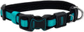 Coastal Pet - Coastal - Inspire Enhanced Core - Adjustable Collar, 5/8" x 8"-12" by CoastalPet