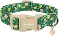St. Patrick's Day Dog Collar,Green Clover Lucky Shamrock Puppy