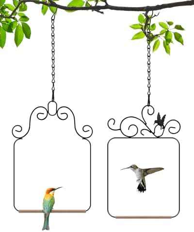 PACETAP Hummingbird Swings and Perches Metal Frame 2 Pack, Wild Bird
