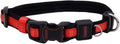 Coastal Pet - Coastal - Inspire Enhanced Core - Adjustable Collar, 5/8" x 8"-12" by Coastal+Pet