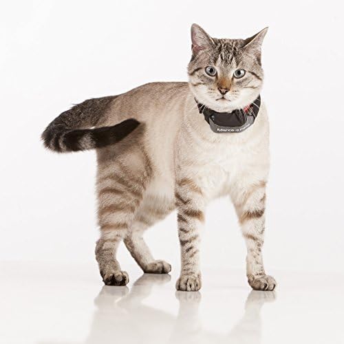 Marco Polo Advanced Pet Monitoring, Tracking and Locating System - Image 3