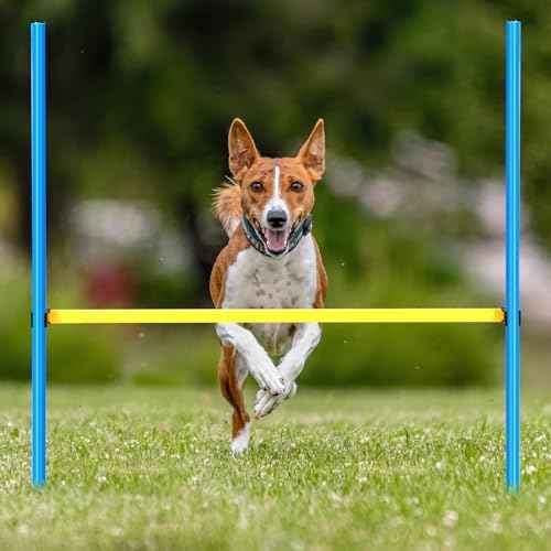 Hollowfly 8 Set Dog Agility Jump Adjustable Dog Agility Hurdle