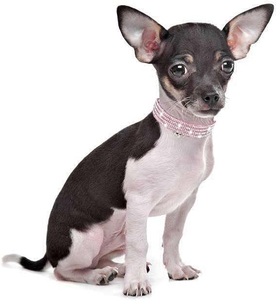 Cat Collars, Rhinestone for Girl Cats Bling Kitten Flower Adjustable Breakaway - Image 6