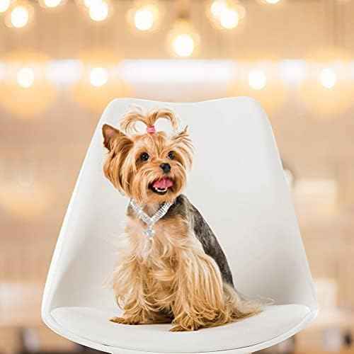 EXPAWLORER Cute Dog Necklace - Rhinestone Dog Collar, Soft Velvet