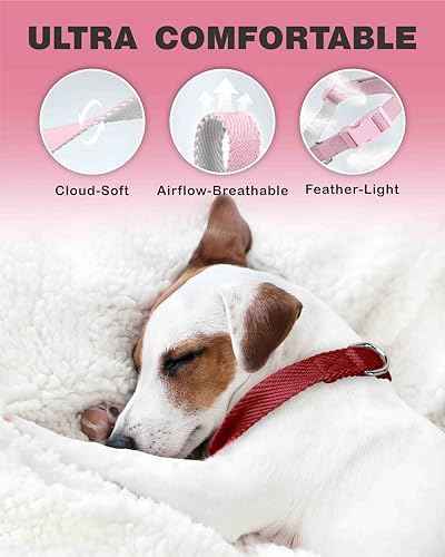 Dynmeow Soft and Breathable Cotton Dog Collar, Durable Adjustable Pet