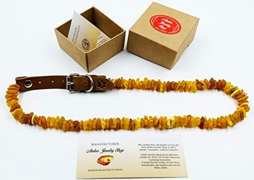 Baltic Amber Dog & Cat Collar - Image 3