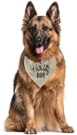Birthday Boy Dog Bandana, Apricot Pet Triangle Scarf for Birthday