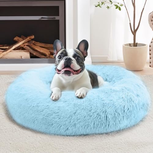 JOLLYVOGUE Calming Dog Bed for Small Dogs by JOLLYVOGUE