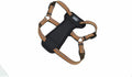 Coastal Pet K9 Explorer Reflective Adjustable Padded Dog Harness by Coastal+Pet