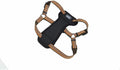 Coastal Pet K9 Explorer Reflective Adjustable Padded Dog Harness by Coastal+Pet